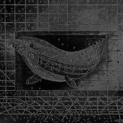 The 10.5% Illusion: Why Prediction Markets Miss the Real Entropy in Iran The 10.5% Illusion: Why Prediction Markets Miss the Real Entropy in Iran