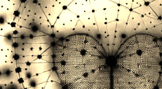 The Fire at Pochaina Market: A Data Detective's Dissection of Prediction Market Vulnerabilities
