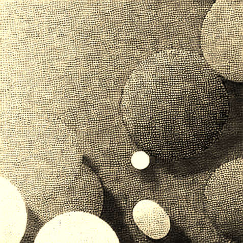 The Tether Tripartite Dream Unravels: Governance, Not Code, Is the Real Vulnerability