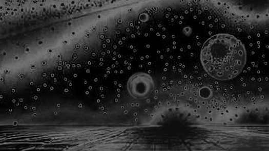 Wonderful AI's $5B Valuation: A Data Integrity Check